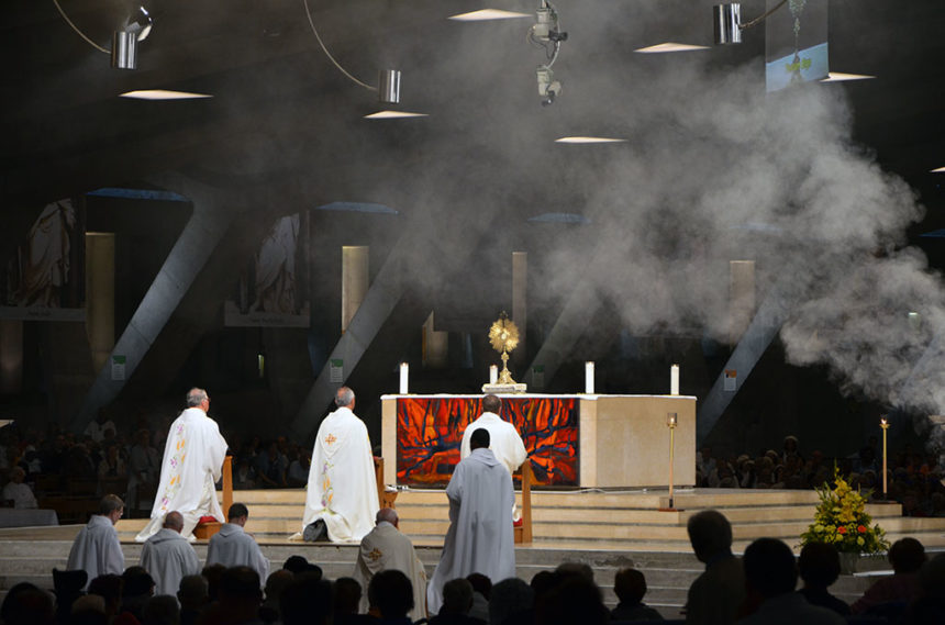 Pellegrinaggio Lourdes 2015 - Gruppo Controcorrente